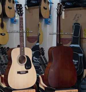 Đàn Guitar Acoustic D-120