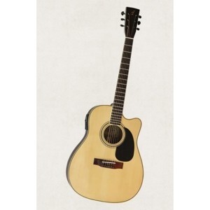 Đàn guitar acoustic DJ260