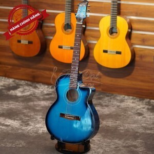 Đàn Guitar Acoustic GA-12EL