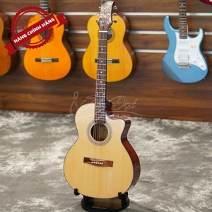 Đàn Guitar Acoustic GA-14HL