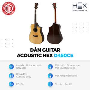 Đàn Guitar Acoustic HEX D450CE