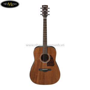 Đàn Guitar Acoustic Ibanez AW54