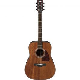 Đàn Guitar Acoustic Ibanez AW54