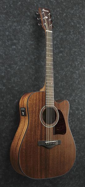 Đàn Guitar Acoustic Ibanez AW54CE OPN