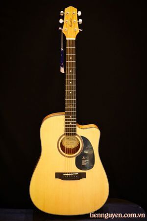 Đàn Guitar Acoustic Mantic AG-1C