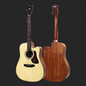 Đàn Guitar Acoustic Mantic AG370C