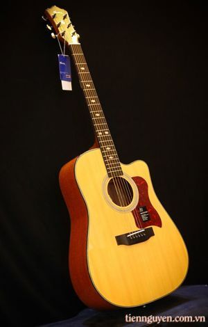 Đàn Guitar Acoustic Mantic AG620C