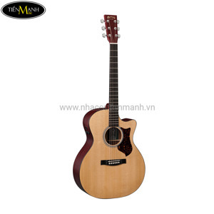 Đàn Guitar Acoustic Martin GPCPA4