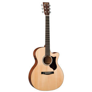 Đàn Guitar Acoustic Martin GPCPA4