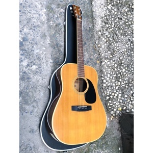 Đàn Guitar acoustic  Morris W-25