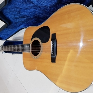 Đàn Guitar acoustic  Morris W-25