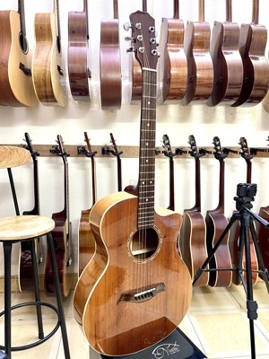 Đàn Guitar Acoustic Rosen G11BK