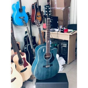 Đàn Guitar Acoustic Rosen G12F
