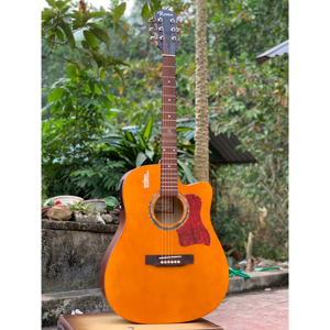 Đàn Guitar Acoustic Rosen R135