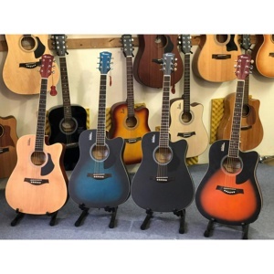 Đàn Guitar Acoustic Rosen R135