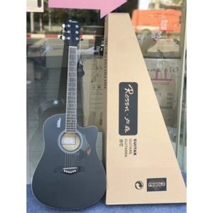 Đàn Guitar Acoustic Rosen R135