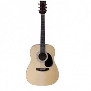 Đàn guitar Acoustic Suzuki SDG-6NL