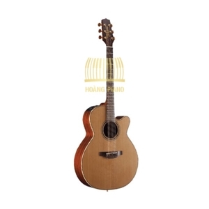 Đàn guitar Acoustic Takamine D2D NAT