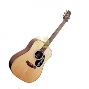 Đàn guitar Acoustic Takamine D2D NAT