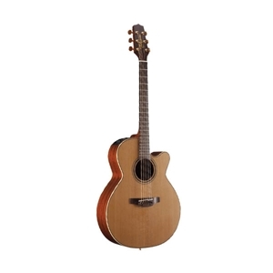 Đàn guitar Acoustic Takamine D2D NAT