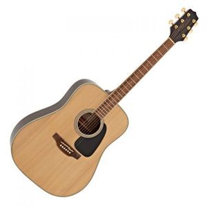 Đàn guitar acoustic Takamine GD51 NAT