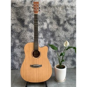 Đàn guitar Acoustic Tanglewood TWR2 DCE