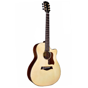 Đàn Guitar Acoustic Taylor T550D