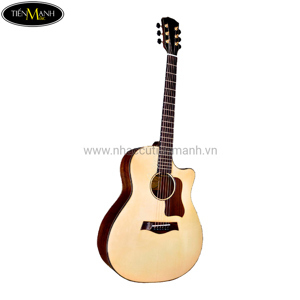 Đàn Guitar Acoustic Taylor T550D