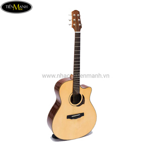 Đàn guitar acoustic Taylor T650