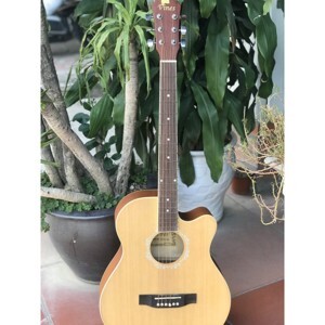 Đàn guitar Acoustic Vines VA-3940N