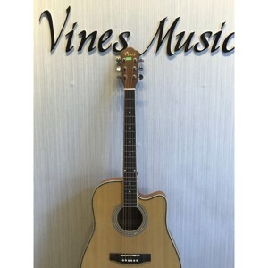 Đàn guitar acoustic Vines VA-4146N