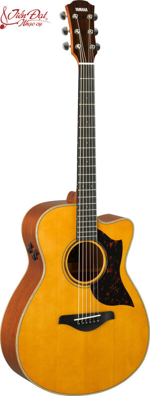 Đàn Guitar Acoustic Yamaha AC3M