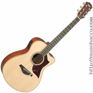 Đàn Guitar Acoustic Yamaha AC3M