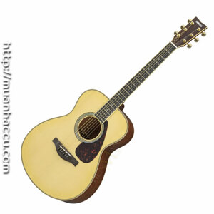 Đàn Guitar Acoustic Yamaha LS16M