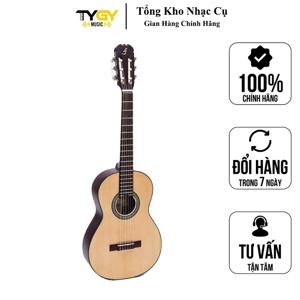 Đàn Guitar Badon DAM100