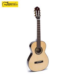 Đàn Guitar Badon DAM150
