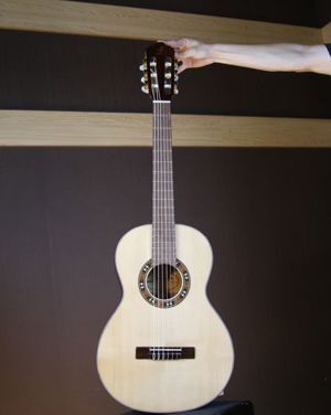 Đàn Guitar Badon DAM150