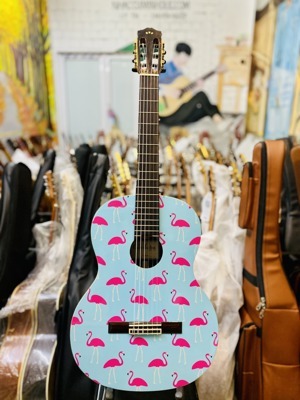 Đàn Guitar Classic Cordoba F7