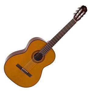 Đàn Guitar Classic Takamine GC1
