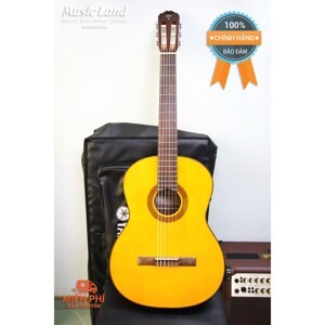 Đàn Guitar Classic Takamine GC1