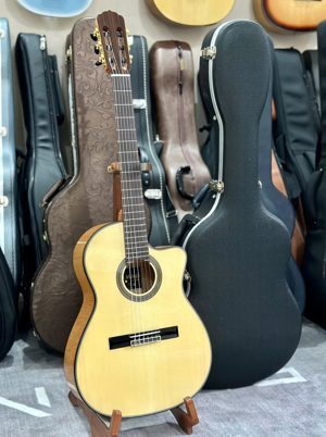 Đàn Guitar Cordoba Fusion 14 Maple