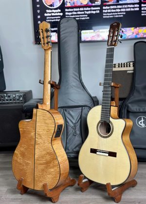 Đàn Guitar Cordoba Fusion 14 Maple