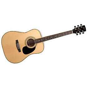 Đàn guitar Cort AD880