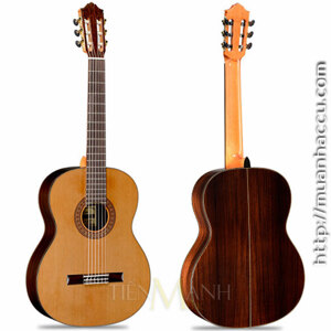 Đàn guitar Famosa FC 25C