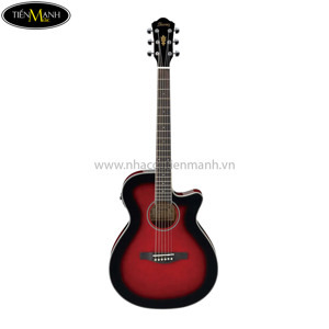 Đàn Guitar IBANEZ AEG8E