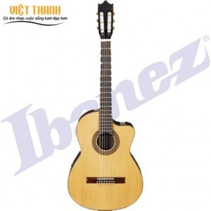 Đàn guitar IBANEZ G200 ECE