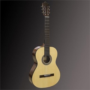 Đàn guitar Martinez MC-20S