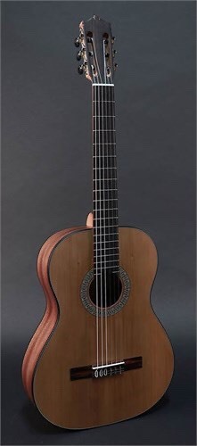 Đàn guitar Martinez MC-35