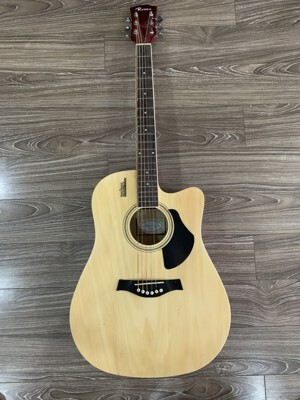 Đàn Guitar Rosen G11