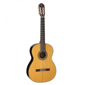 Đàn guitar Takamine C132S